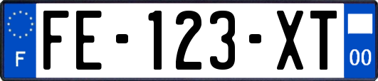 FE-123-XT