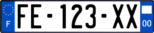 FE-123-XX