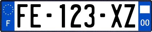 FE-123-XZ