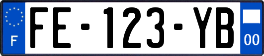FE-123-YB