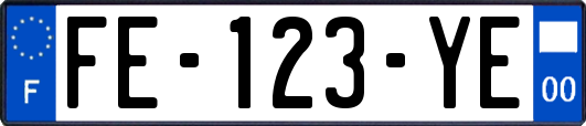FE-123-YE