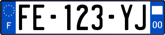 FE-123-YJ
