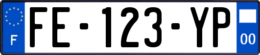 FE-123-YP