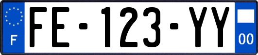 FE-123-YY