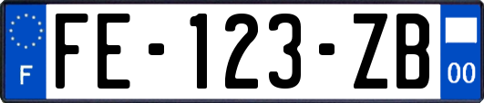 FE-123-ZB