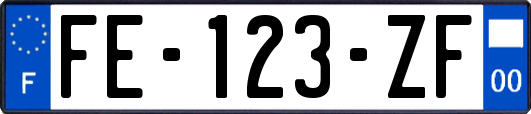 FE-123-ZF