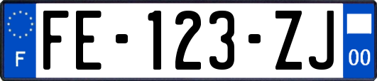 FE-123-ZJ