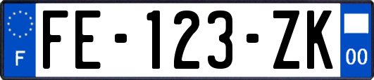 FE-123-ZK