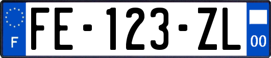 FE-123-ZL