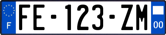 FE-123-ZM