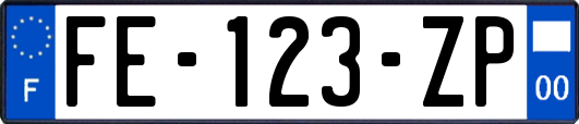 FE-123-ZP