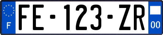 FE-123-ZR