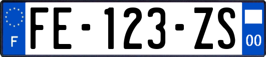 FE-123-ZS
