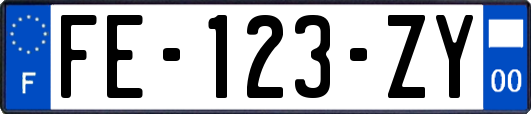 FE-123-ZY