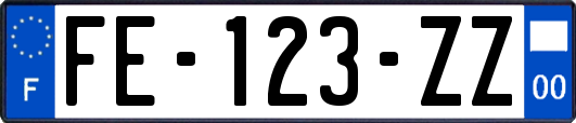 FE-123-ZZ