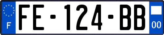 FE-124-BB