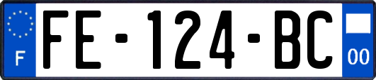FE-124-BC