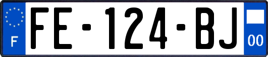 FE-124-BJ