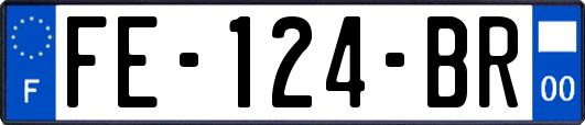 FE-124-BR