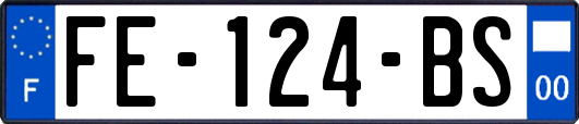 FE-124-BS