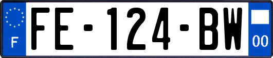 FE-124-BW