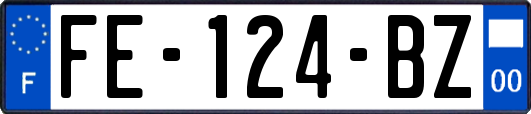 FE-124-BZ