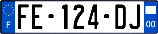 FE-124-DJ