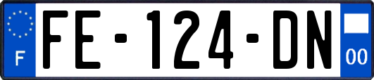FE-124-DN