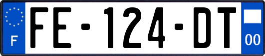 FE-124-DT