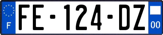 FE-124-DZ