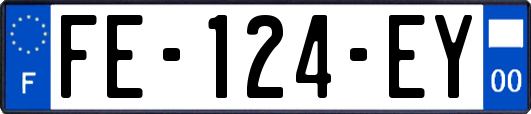 FE-124-EY