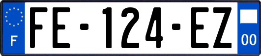 FE-124-EZ