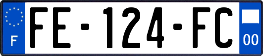 FE-124-FC