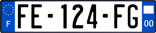 FE-124-FG
