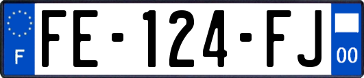 FE-124-FJ