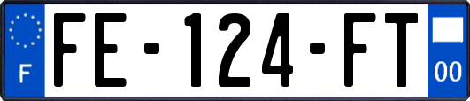 FE-124-FT