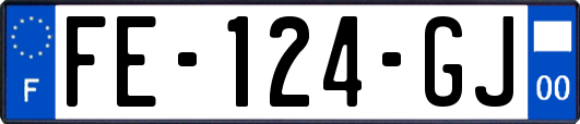 FE-124-GJ