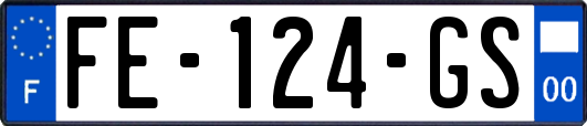 FE-124-GS