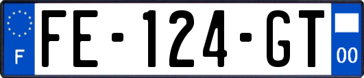 FE-124-GT