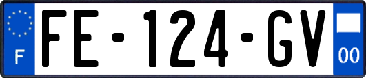 FE-124-GV