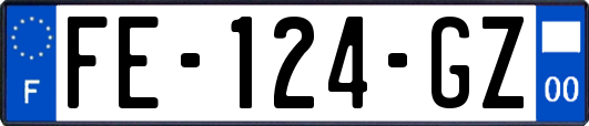FE-124-GZ