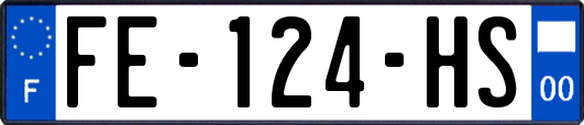 FE-124-HS