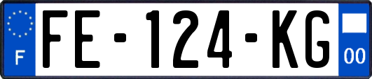 FE-124-KG