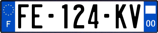 FE-124-KV