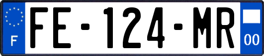 FE-124-MR