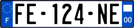 FE-124-NE