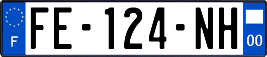 FE-124-NH