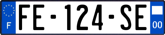 FE-124-SE