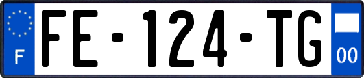 FE-124-TG