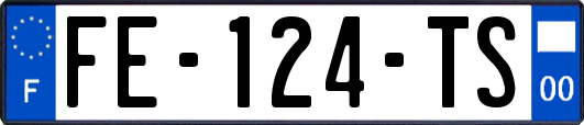 FE-124-TS